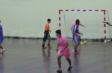 2014 年第七届越南全国体育大会：室内手球比赛拉开序幕